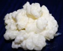 Молочный гриб: инструкция по уходу, приготовлению и применению кефира