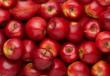 Правильный самогон из яблок — рецепты браги и перегонка