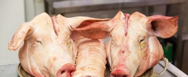 Мясо прессованное из свиной головы (пошаговый рецепт с фото). Вкуснейшие блюда из свиной головы Прессованное мясо свиной головы пошаговый рецепт