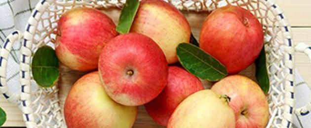 Польза и вред яблок для организма человека. Какая калорийность яблок и полезные свойства