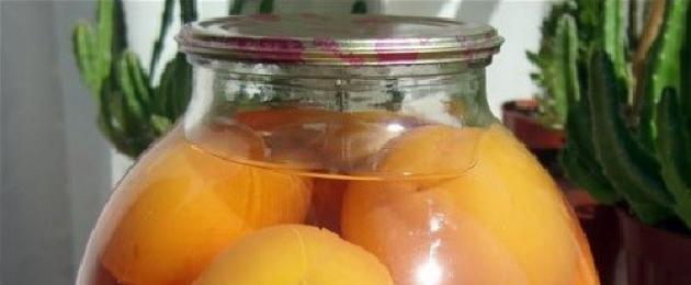 Как консервировать персики: вкусные рецепты на зиму. Любимые консервированные персики в сиропе на зиму