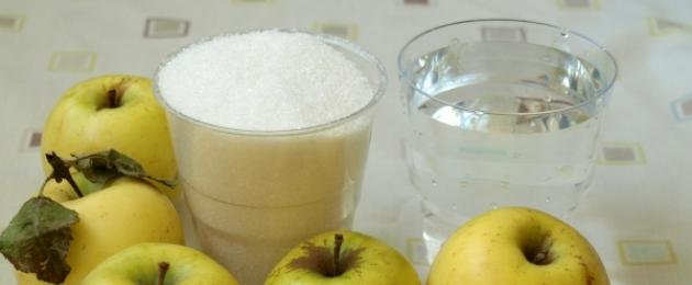 Рецепт приготовления яблок в сиропе на зиму. Яблоки в сиропе: простые и вкусные рецепты консервированных плодов