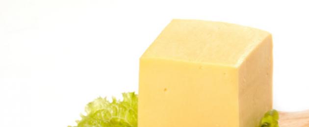 Как приготовить сыр из свежего молока в домашних условиях. Домашний сыр из молока и сыворотки «А-ля Рикотта»