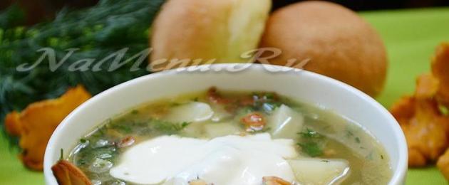 Как вкусно приготовить грибной суп с лисичками. Грибной суп с лисичками — рецепт с фото и видео
