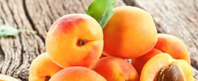 Калорийность абрикосов. Калорийность абрикосов: пищевая ценность свежих и сушеных абрикос