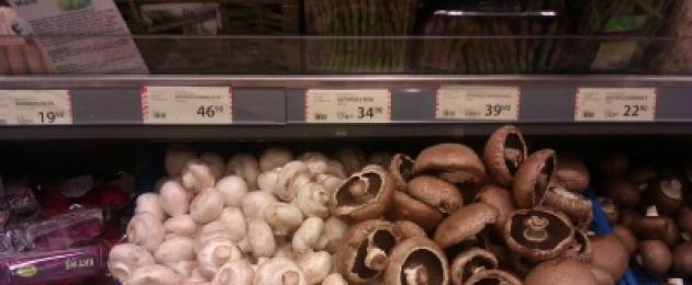 Как долго можно хранить свежие грибы. Как долго можно хранить отварные грибы в холодильнике