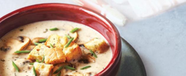 Рецепты диетических супов. Диетические рецепты супов для похудения: куриные и овощные супы-пюре