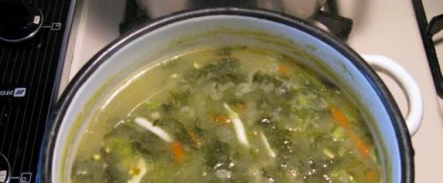 Что добавляют в суп из щавеля. Зеленый борщ со щавелем и рисом