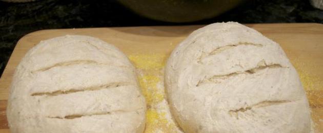 Хлеб с добавлением ржаной муки в духовке. Ржаной хлеб - как испечь в домашних условиях в духовке или хлебопечке по рецептам с фото