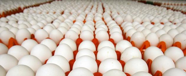 Сколько грамм в 10 яйцах. Сколько весит яйцо