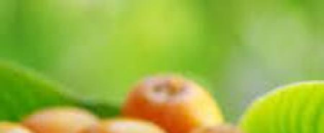 Мушмула - полезные свойства фрукта. Японский фрукт мушмула — полезные свойства и противопоказания