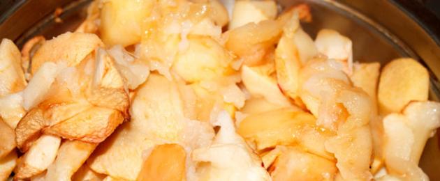 Белевская пастила из яблок на зиму — простой рецепт в домашних условиях. Белёвская пастила в домашних условиях: пошаговый рецепт