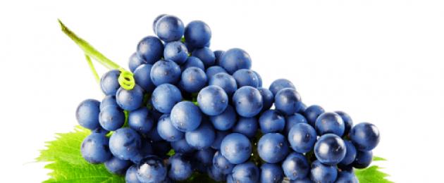 Когда собирают виноград – подходит к завершению дачный сезон. В какое время лучше собирать виноград для вина