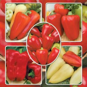 02eCU7tMKmYvNlX50rTnWdfLyErjNiCY300_300-1