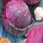 05D8p2N6O4PRQ4wKZb5Qg7ign8NaGN1h300_300-1