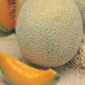 0AQETYrLcSEas3L3Uj7HQzAhwcxfM3Pu300_300-1