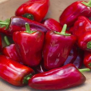 0MWUPTUTmq3K0Nbr9yDrI1z11R8arvC6300_300-1