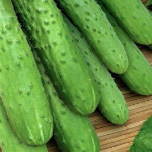 1939XFem1otm7KEme0Y6zX1btZHQzGb0300_300-1