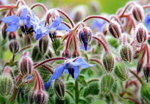 1XNE0al3D7kPOFGtIEGXIgqTt9IAYiLd