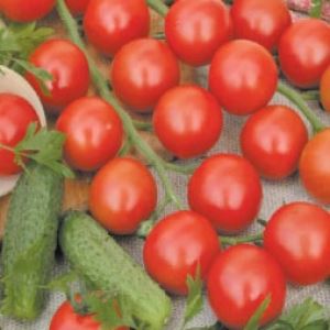 24WcrMn8zgeAWE40vsOa57h0J4PpZxQW300_300-1