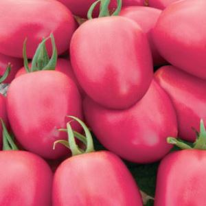 2IgeSavTAil7QpzREZw0Ol68pYZR31rB300_300-1