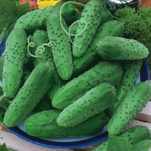 2fNwQdiuNwNeufiXlDLhXX36e8yZukR3300_300-1