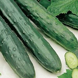 36Q7T6uGZvUV2ZDUpREj8VDrD9eUZ7N1300_300-1