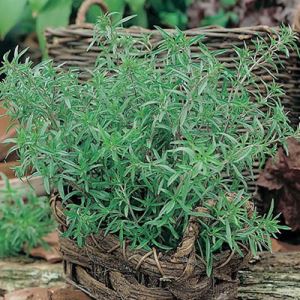 3AUSrtclKKMw4QYz2J4BOaouPwvGMlfN300_300-1