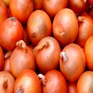 3OiqLN4mKquiSVE5ePugYtXDBr72EMK1300_300-1