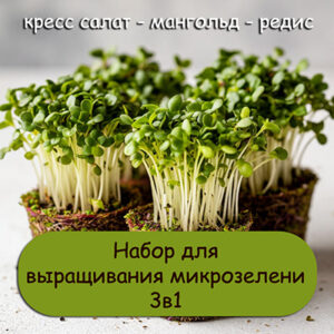 3dA2fuOEfsX2VXeTZzEuieN1A8b6RvMi