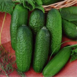 3p9xw5GPLLv8PmmaFM8gTMf0DcTROeyZ300_300-1