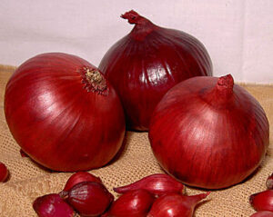 3uHDeahJrxDJlQzY4qFEXNRtwFETqD32