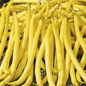 4RrGaBBvjQcW4Ve5DpPSO0G4CF4VBkMa300_300-1