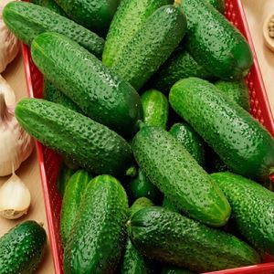 4fW2iDYN5R3V98MCjOEfGWhUcwSyxaGn300_300-1