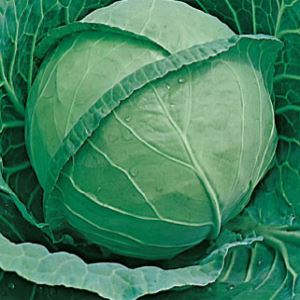 4yMl4BDq7TuW0ee9jAq75zbVsNbpMlbq300_300-1