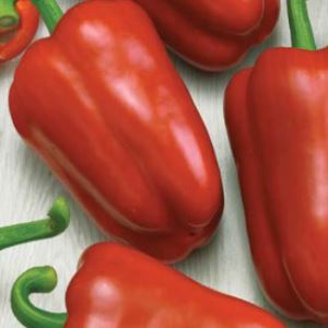 5h55dRWBv31pbSKaMZGeBZAFlGRIyZAx300_300-1