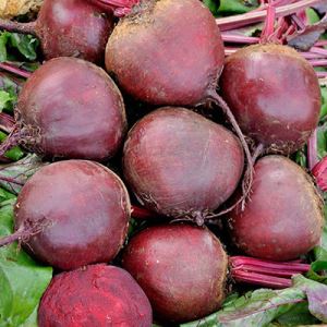 637iD7lIrpF1UfwCnZH0BiAvMZ2AeNda300_300-1