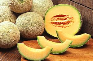 6DupQXqb7s9Lmp4QGujcq9mJPw6M4dIk300_300-1