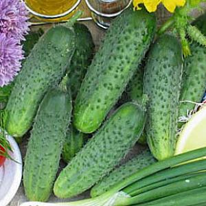 6Q9skC7rMHhujvWP79Aps0zEaTo9Xnhx300_300-1