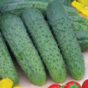 6giWtV39mmeRDIzd7ng7IFlZ6vs9PQCk300_300-1