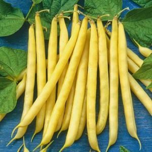 7II6eOQXksZh3YcnBBe6LnhqnyBSWOro300_300-1