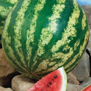 7kPIyg0QkfRVwW1I6PDUCYmAnoyy6EmO300_300-1