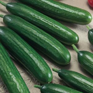 8JmI6PivMeRiZ94us90vlE1Qrkk1d1Bk300_300-1