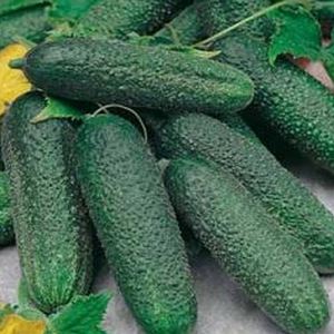 8Tnjx7v3kZ5wPzowtSxF2v9Lck2KESjo300_300-1