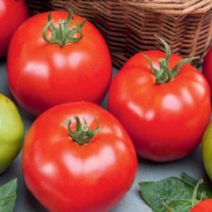 8flKIjyCIICTS3Mw7rH4n9Iz6hXtwuPE300_300-1