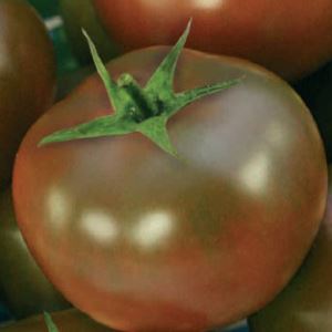 933lB23WvnRER3dcUTz0roGew4KWQed5300_300-1