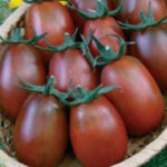 9aQTHU9LZ7iYbx3I5LvNcSEsNHGMa1vm300_300-1