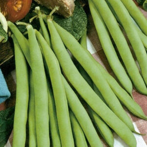 AflvR6inn247LvdlMF4LatCDWPpIosYU