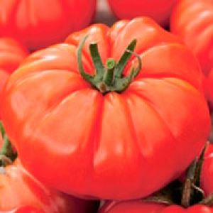 AvHNvxbkCbMsf8ddhwdw12mnEa1VgAIq300_300-1