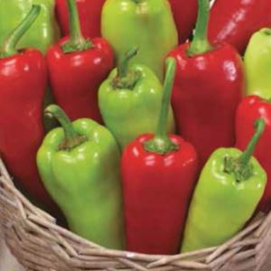 BAASW5ioBR350VCRaxOjV8zCVIs20v91300_300-1